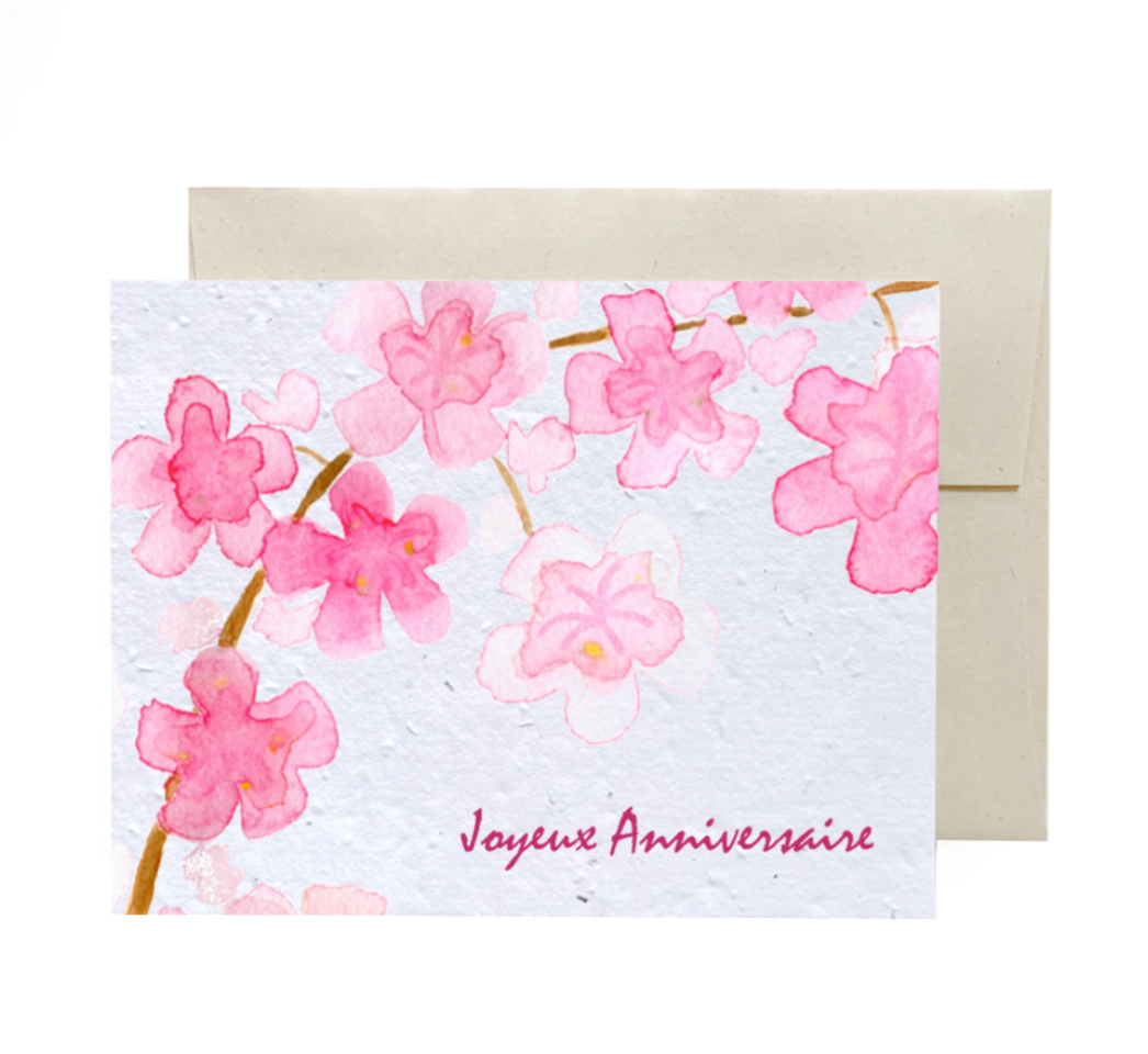 Carte Starbucks Corée 2023 - Édition Fleur De Cerisier - Carte Collector Originale Blanche