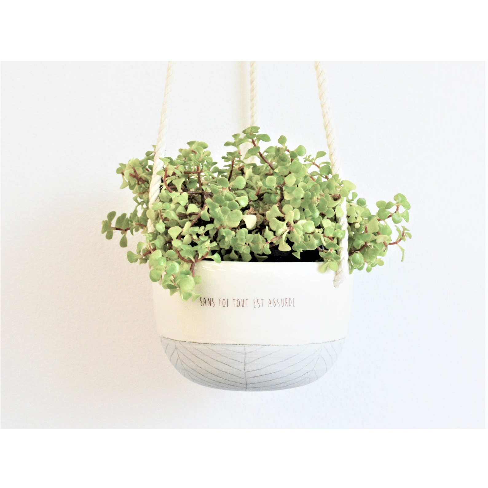 Petite jardini re sans toi tout est absurde small planter sans